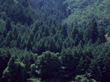 お仏壇と墓石の廣川上越店