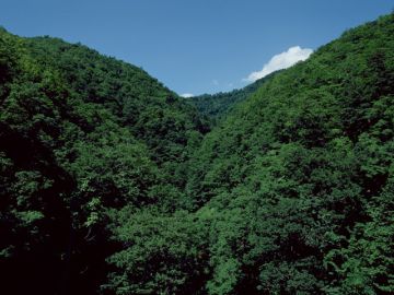 白蓮堂仏具店