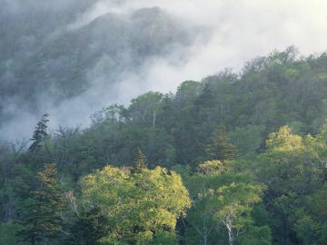大野大佛堂