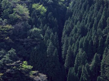有限会社日和ピアノ運送