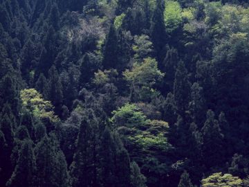 株式会社セレモニーホール飯田／松尾斎場