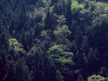 株式会社出雲屋仏檀店