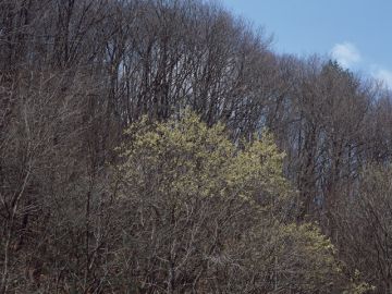 有限会社竹重