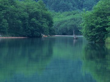 株式会社横田安楽堂