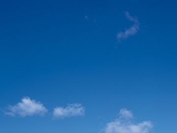 株式会社　金谷大師堂