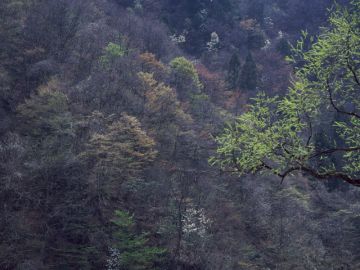 お仏壇と墓石の廣川小出店