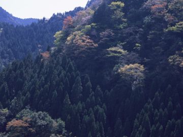 有限会社てらだ葬儀社／セレモニーホールてらだ会館