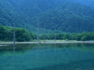 お仏壇と墓石の廣川小出店
