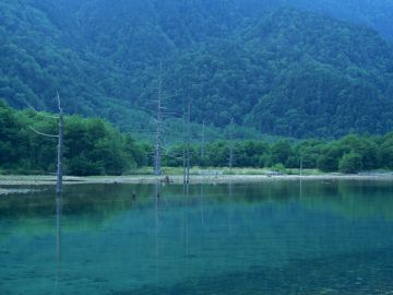 有限会社日和ピアノ運送