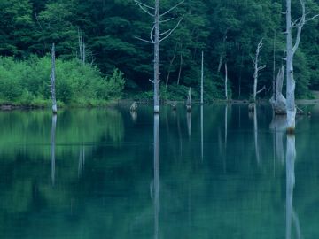 中川の仏壇