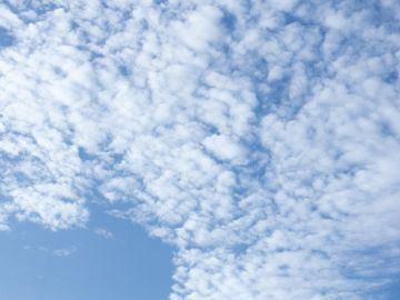 中川の仏壇